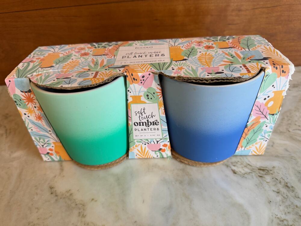 Pair of Ombre Mini Planter Pots